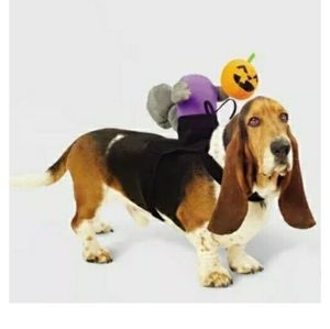 Headless horseman costume